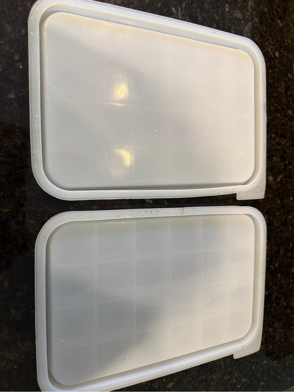 Silicone molds resin trays